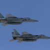  JASDF 72-8895 F-15CJ