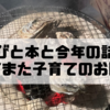 火遊びと本と今年の話題、そしてまた子育てのおはなし