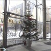 アトリエ凸凹のクリスマス