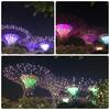 シンガポール1人旅④2日目 夜の観光 JUMBOでブラックペッパークラブ〜ガーデンズバイザベイ
