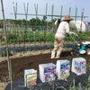 菜園の自然の風が心地よい