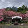 屋久島トッピーサバダバ 第18回 オアシスは移転オープン お地蔵さまもにっこり