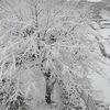 また大雪