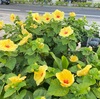 与えることはもらうこと🍀