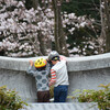 八幡市さくら公園その１