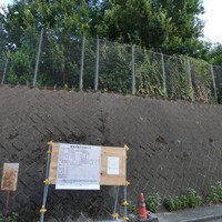 山の日だから　山の話！？　野毛山動物園　大改造！！！