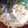 のこのこ写真を撮りにいく
