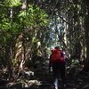 梅雨晴間の五山所道遊山　鎮