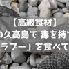 【高級食材】沖縄の久高島で 毒を持つ海蛇「イラブー」を食べてみた