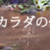 OES郵送精子検査してみる
