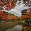 冬を前に、晩秋の東寺コレクション