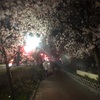 夜桜～🎵って曲あったよね？