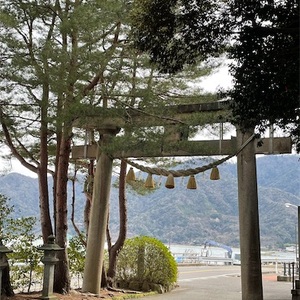 4月入ってようやく一息。桜を探しに。