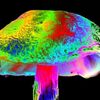 サイロシビン：脳をがんじがらめにしていたうつ病の糸を溶かす！  (BBC-Health, Apr 12, 2022)  