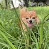 雨上がりの醍醐味