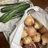 お野菜頂きました。ありがとうございます。