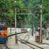  トロッコ列車で黒部の絶景を - 2日目【その2】（2021年6月8日）