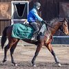 シルクなお馬さん（１歳牡馬・関西）