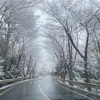 久しぶりの神戸と、ぽんす会はヒラメ狙いの岡山。