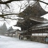 熊本県も積雪