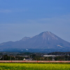 残雪の大山、そして菜の花と国鉄特急色の381系を撮る！