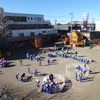 わくわく鑑賞会～ふれあい動物園～