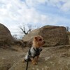 しょうたとハイキング「鷹取山～神武寺～逗子海岸あたり」