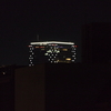 ついに寝込んだ。
