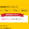 家族旅行に行くためにマイルをためたい。ハワイと沖縄に行くのに必要なANAマイルを調べた