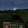 【Minecraft日記】あたろう、またわれの放浪記その9