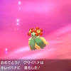 ポケモンシールド＊～キルクスタウン感想