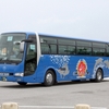 沖縄バス / 沖縄200か ・600
