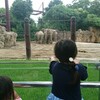 上野動物園で子供と遊ぶといくら位かかるか。