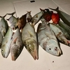 モルディブで釣りをすると