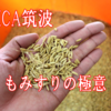 【JICA筑波】タイカレー食ってたら見忘れた！そして容赦なく答えを言ってしまうおっちゃん。悔しいのでコメについて学んできました。【パート２】