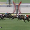 ８月１１日公開予想⇒幻の単勝1490円、複勝320円、馬連3,410円的中