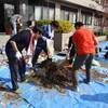 アレスコ棟　お花の植え替え