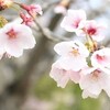 つれづれにつぶやいてみる午前四時