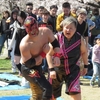 満開の桜の下でお花見プロレス