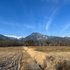 2023/01/13 金曜日　巻雲は下り坂の印