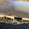 今週の釣果報告🎣茨城県つくば市某池