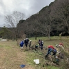 自然友の会　両生類調査