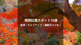 関西の紅葉スポット10選｜京都・奈良・大阪など見頃と楽しみ方ガイド