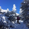 こんな機会なかなかなーい！山頂を目指さない雪山訓練 in 谷川岳 by ニコ