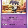 【ナゾトキポケカの答えは？】謎解きポケカ答えが何か転売ヤーに刺さる言葉だった話【日記】