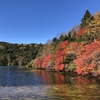 北八ヶ岳の白駒池と高見石で紅葉と苔を楽しむ