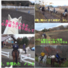 富士山麓鳴沢村で乗馬体験 西湖いやしの里　根場の蕎麦 　🐎
