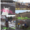 富士山麓鳴沢村で乗馬体験 西湖いやしの里　根場の蕎麦 🐎