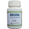 The Successful Treatment of Bullous Pemphigoid by Herbal Remedies