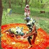 やはり予算か・・　の巻